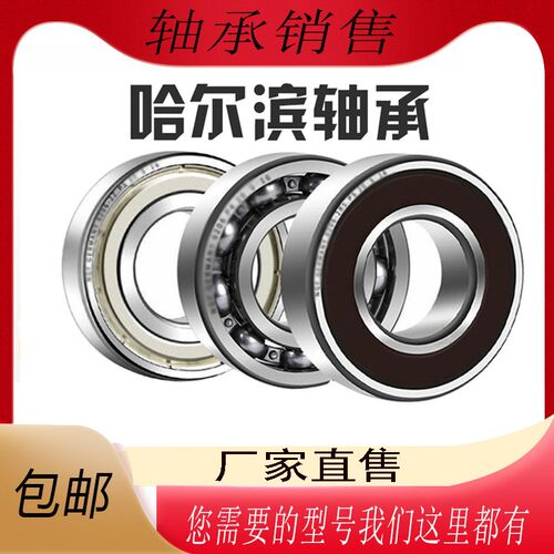 哈尔滨高速电机轴承6206 6207 6208 6209 6210 6211N 2Z 2RZP5 C4