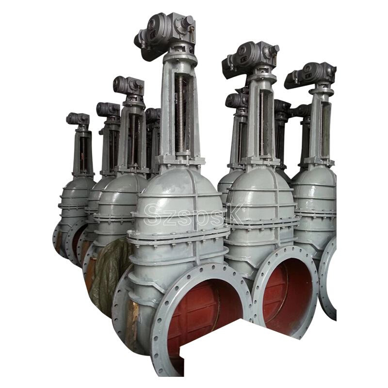 Z95TZ95W水电站铸铁电动暗杆楔式闸DN300 0 0 00