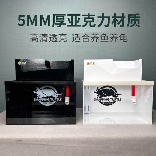 发色佛鳄龟缸麝香龟巨头