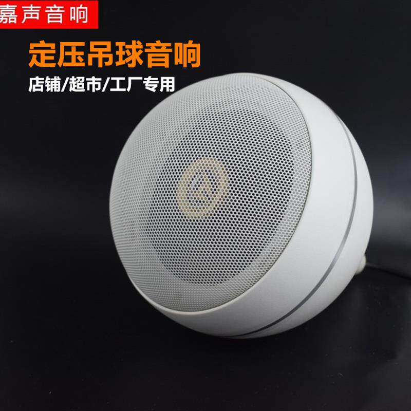 公共广播时尚同轴吊球音箱吊吸顶工程解决方案