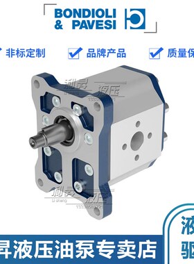 Bondioli Pavesi邦贝齿轮泵 HPLPA1  HPLPA2  HPLPA3  HPLPA4系列