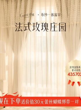 法式白色蕾丝窗帘遮光公主风双层布E纱一体公主风窗帘卧室飘窗门