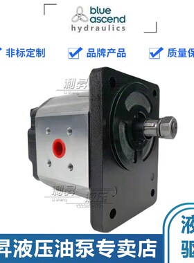 土耳其BLUE ASCEND齿轮泵APH20.040/060/080/095/115/140/160/190