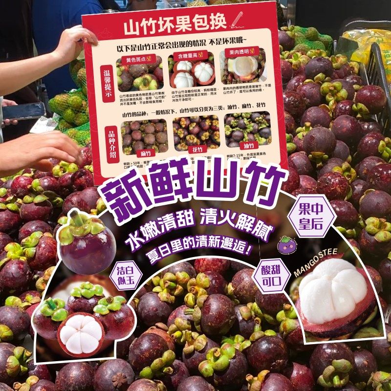 山竹品种介绍KT板商超水果售后氛围装饰牌果蔬店异形立牌广告牌,办公设备/耗材/相关服务,铭牌,淘宝优惠券,粉丝福利购,淘宝优惠卷