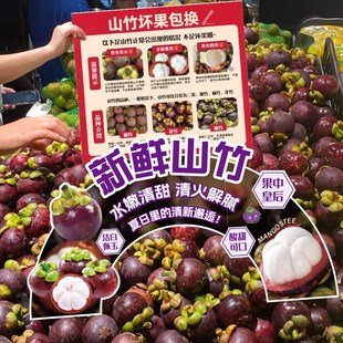 山竹品种介绍KT板商超水果售后氛围装饰牌果蔬店异形立牌广告牌