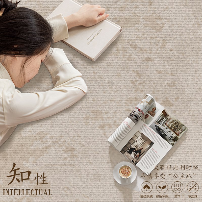 地毯客厅现代简约2025新款防水卧室E免洗可擦轻奢高级沙发家用地