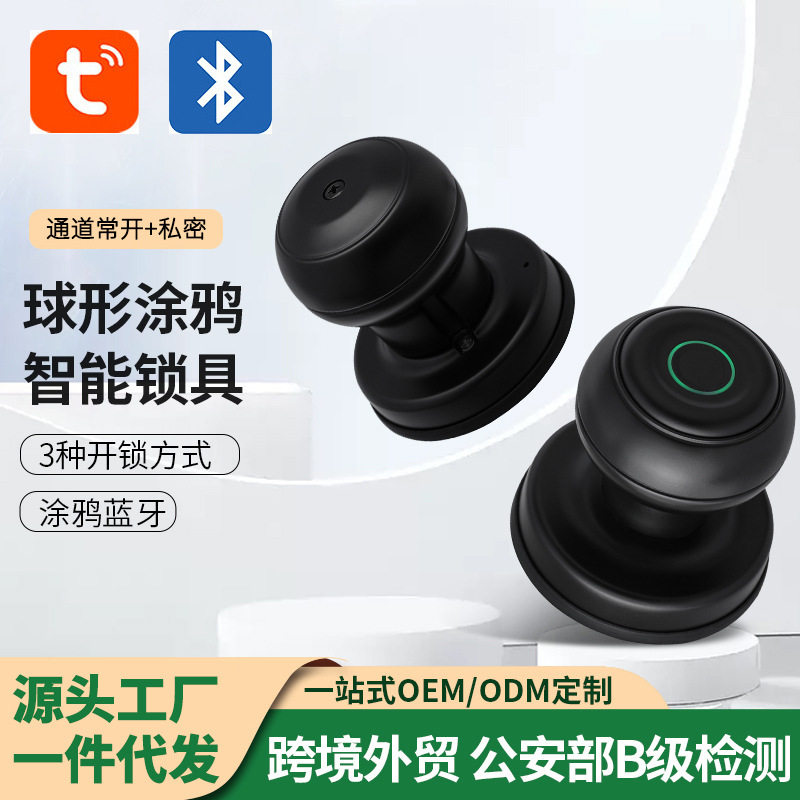 室内球形涂鸦指纹密码智能锁