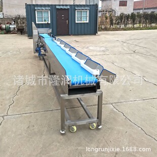 称重分拣设备分选机石斑鱼鲅鱼海鲜水产在线选别机重量检测称量机