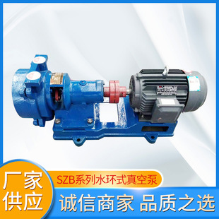 不锈钢SZB真空泵 供应小型高压齿轮泵 电动铸铁卧式 高压油泵