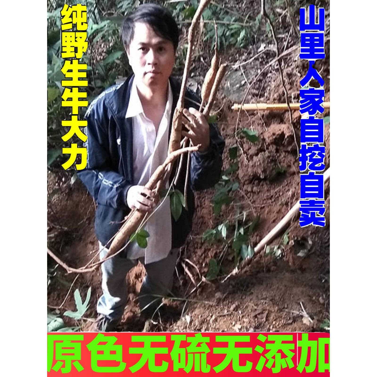 新疆包邮牛肉大理土豆野生干货现
