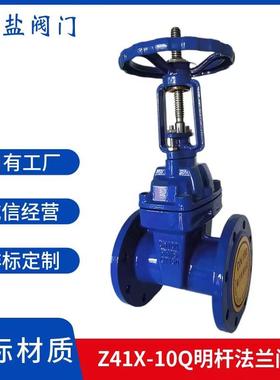 Z41X-10Q球磨铸铁软密封明杆法兰闸阀弹性座封闸阀明杆闸阀DN80
