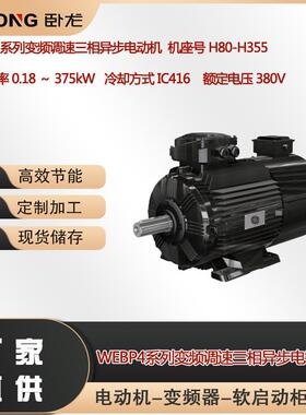 WEBP4变频调速三相异步电动机二级能效冷却方式IC416