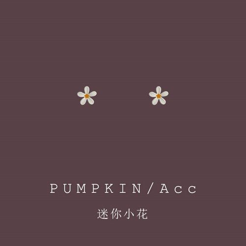 小清新迷你白色小花耳钉睡觉免摘森系超仙花朵耳饰小巧耳夹无耳洞