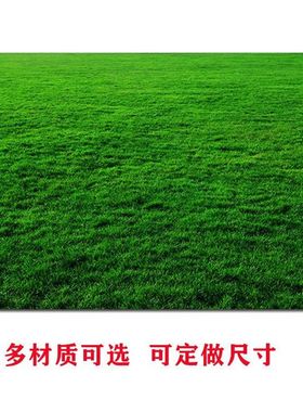 草地草坪贴画绿色护眼壁纸自粘贴画宿舍海报定做S辽阔草原风景挂