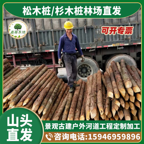 杉木桩原木打桩木景观绿化树木A支撑杉木杆防汛河道护坡圆木实木