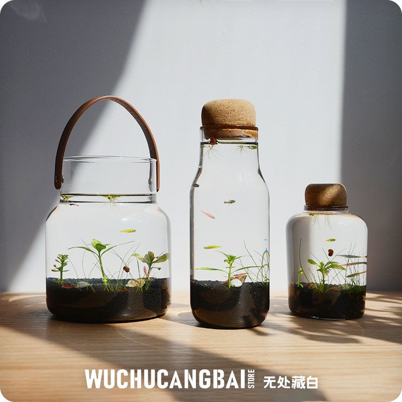 生态瓶微景观鱼造景DIY小鱼缸水族办K公桌面客厅创意观赏免换水