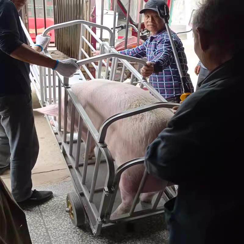 猪笼子猪场用运猪笼肥猪转猪推车称重运输加厚拉母猪装车养殖设备