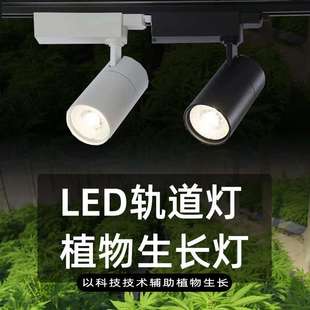 led植物生長燈綠植墻植物補光燈園藝花店多肉全光譜導軌射軌道燈