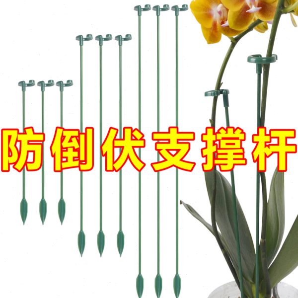 固定子植物朱顶红蝴蝶兰支撑杆铁艺花架防绣球月季倒伏爬藤花卉架