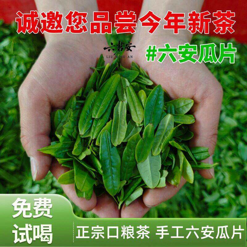 2025新茶大众口粮茶手工六安瓜片茶叶新鲜采摘安徽特产绿茶250g