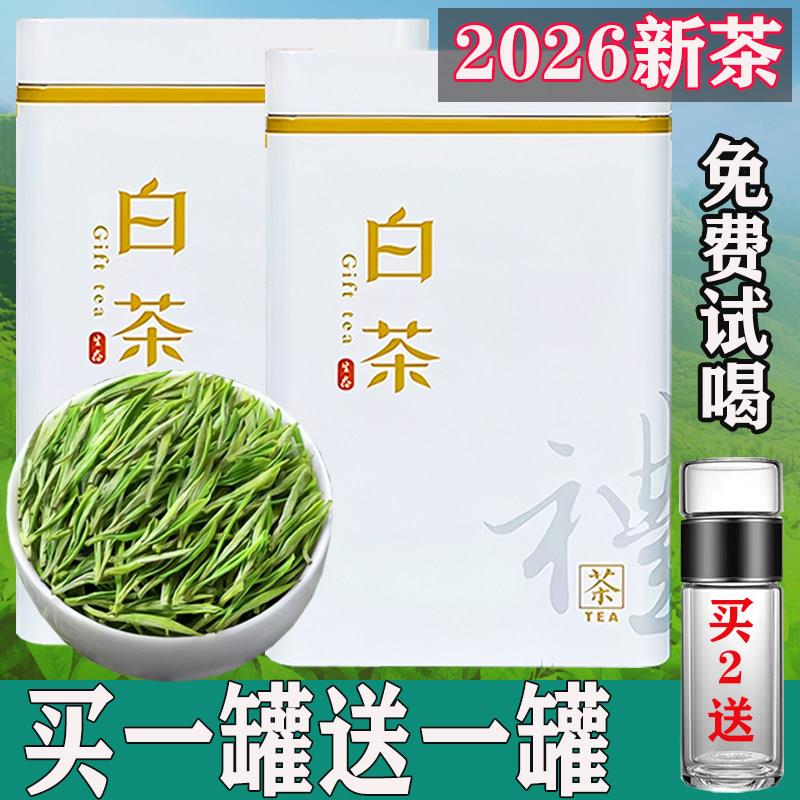 【明前嫩芽白茶买一罐送一罐】2026新茶正宗高山珍稀白茶毛尖礼盒