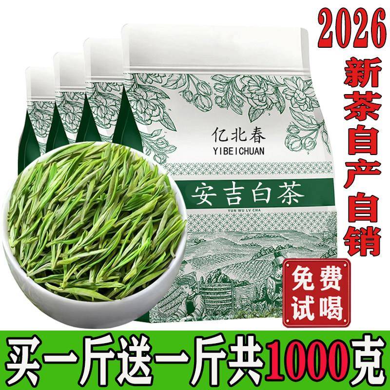 【2026嫩芽白茶买一斤送一斤】自产自销高山新茶毛尖绿茶浓香型