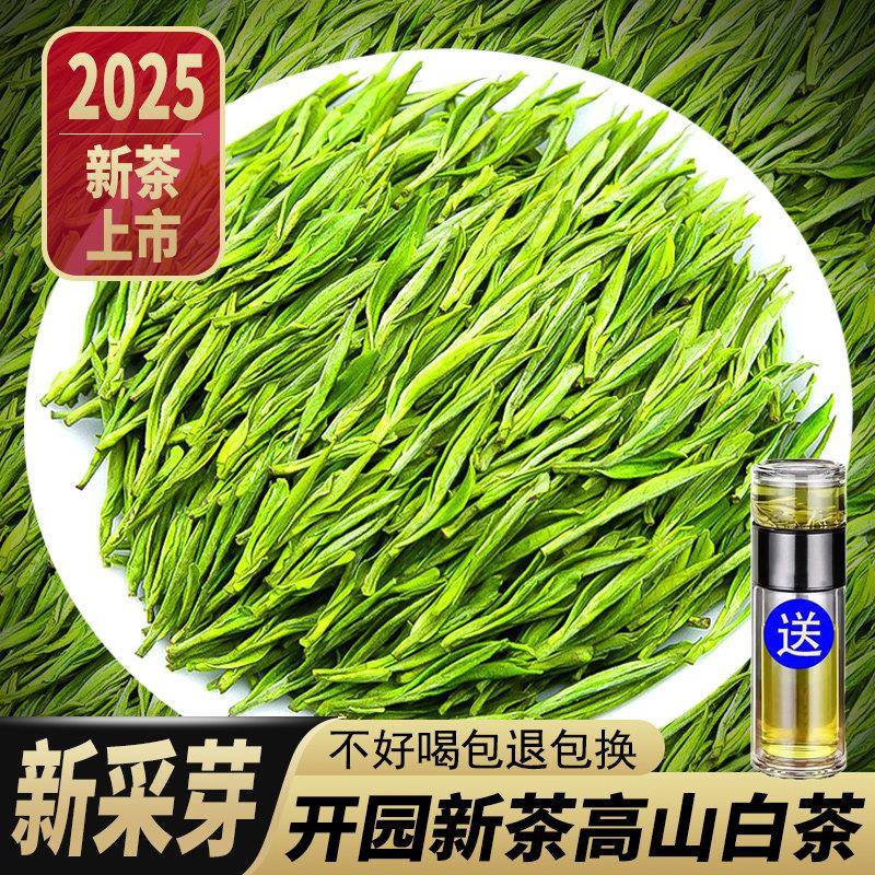 一芽一叶6A嫩芽正宗高山白茶2025新茶毛尖绿茶浓香型正品兰花香