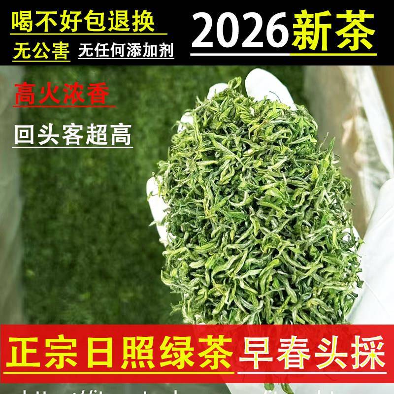2026新茶山东日照绿茶早春茶特级明前头采高端嫩芽头茬高山米芽茶