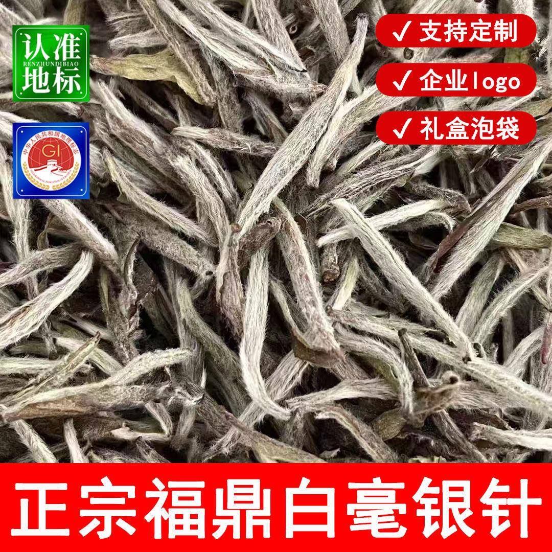 白毫银针福鼎白茶特级一级白茶茶叶散茶品鉴体验试喝花香蜜韵银针