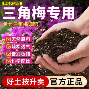 三角梅专用营养土家庭园艺土盆栽通用泥土种植花卉绿植培养土肥料