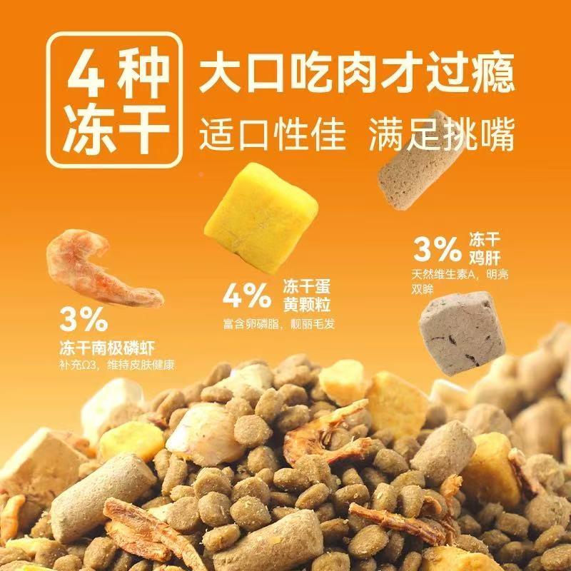 5型冻猫干粮成通用实1金渐层银渐层土尝包猫斤幼鲜0斤惠HSA装猫猫