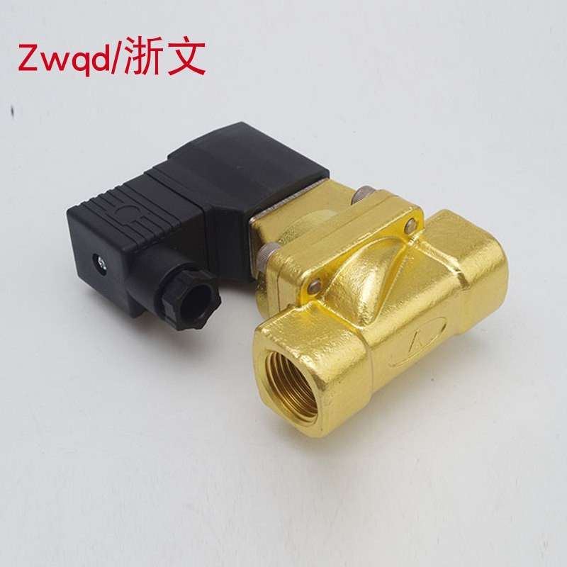 疏水阀2W200-20 2W250-25 A/B DC24V AC220V电磁阀常闭二通铜体