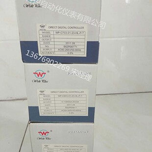 2H2L 2H2L数显仪温控仪液位表压力 C704