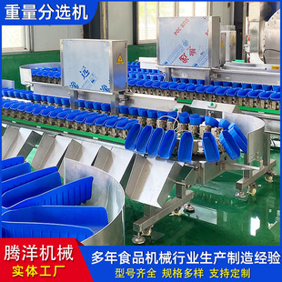 白条鸡重量分选设备 龙虾鱼类自动检重分拣机 禽类连续式分选机