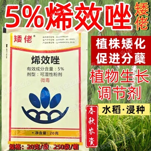 矮佬5%烯效唑水稻浸种控旺植株矮化促进植物生长调节剂正品老牌子