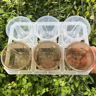 6格托架蝴蝶兰塑料茶色透观根盆组合托架热值月季海棠水苔花盆