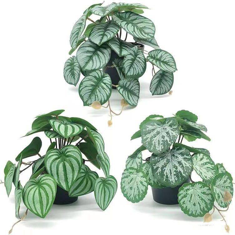 亚马逊爆销仿真植物盆栽组合墙壁装饰人造绿植叶子盆栽,鲜花速递/花卉仿真/绿植园艺,商务用花,淘宝优惠券,粉丝福利购,淘宝优惠卷