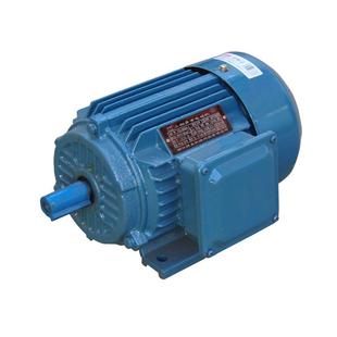 定制YE3 2極 0.75KW千瓦三相異步電動機馬達 低速B3電機議價 80M1