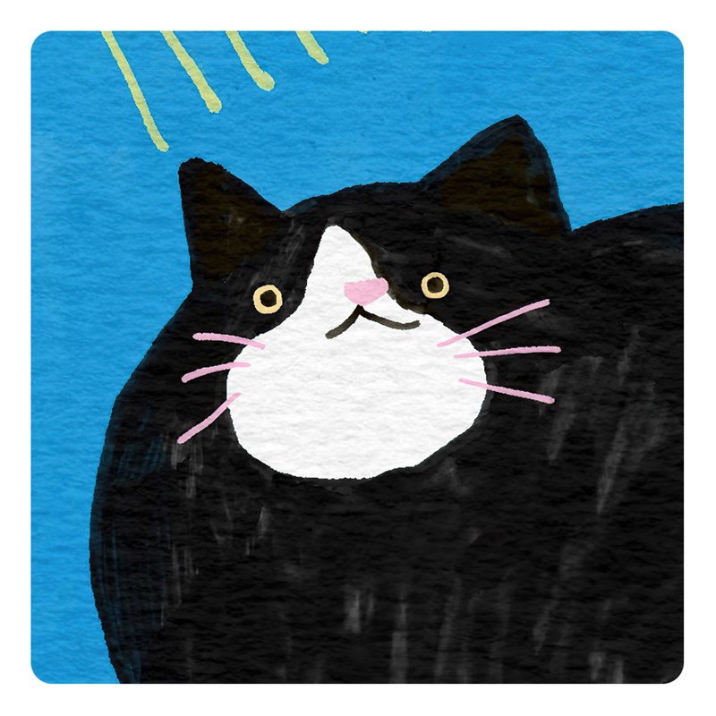 【特惠捡漏】插画师Seolzzi复刻艺术版画儿童房可爱猫咪装饰画芯