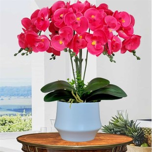 蝴蝶兰人造花套装香雪兰人造花盆栽客厅丝花塑料入口桌装饰盆景