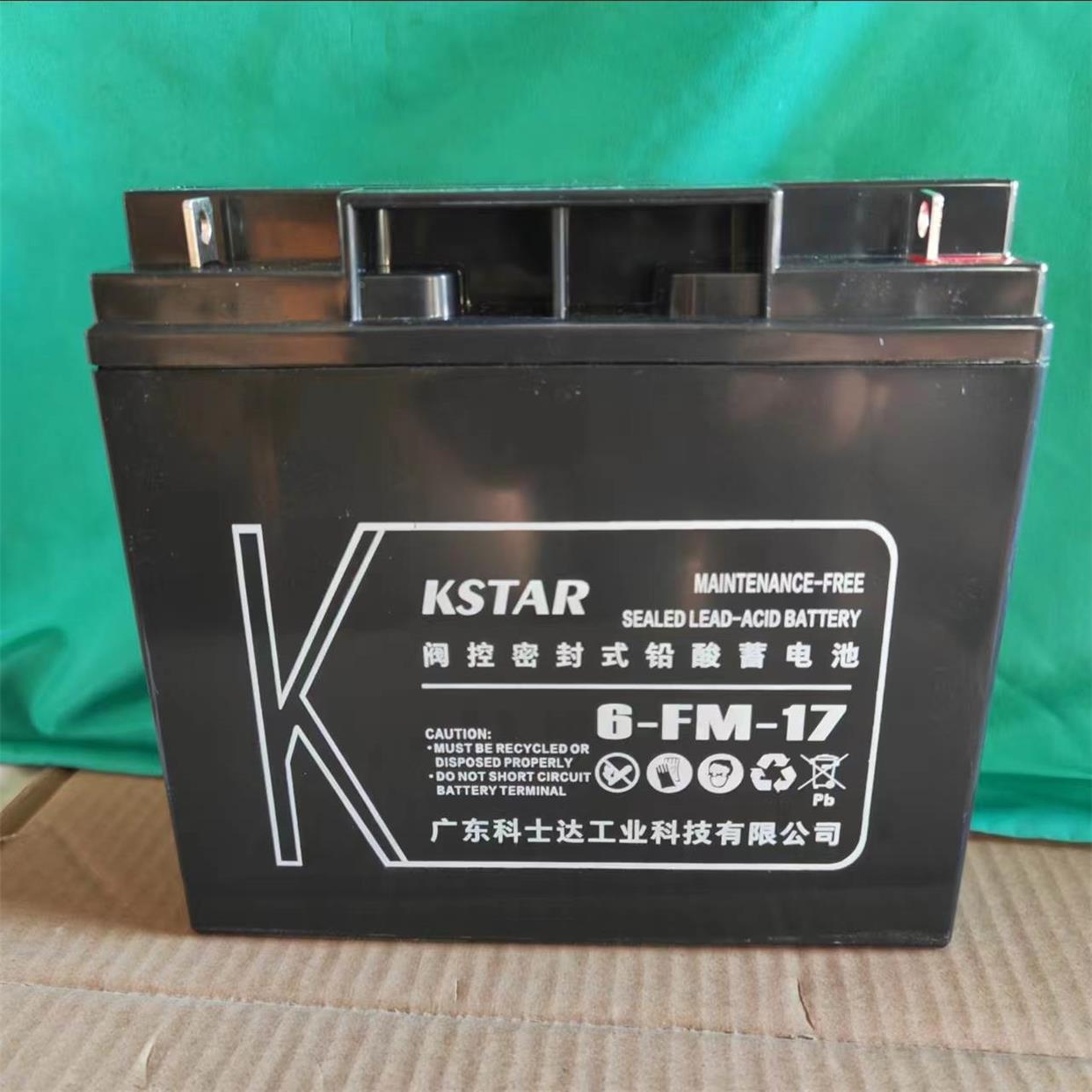 科士达蓄电池6-FM24 12V7AH17AH24AH38AH65AH100AH120AH机房电源*