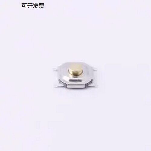 TS-1087AR0265.1*立贴