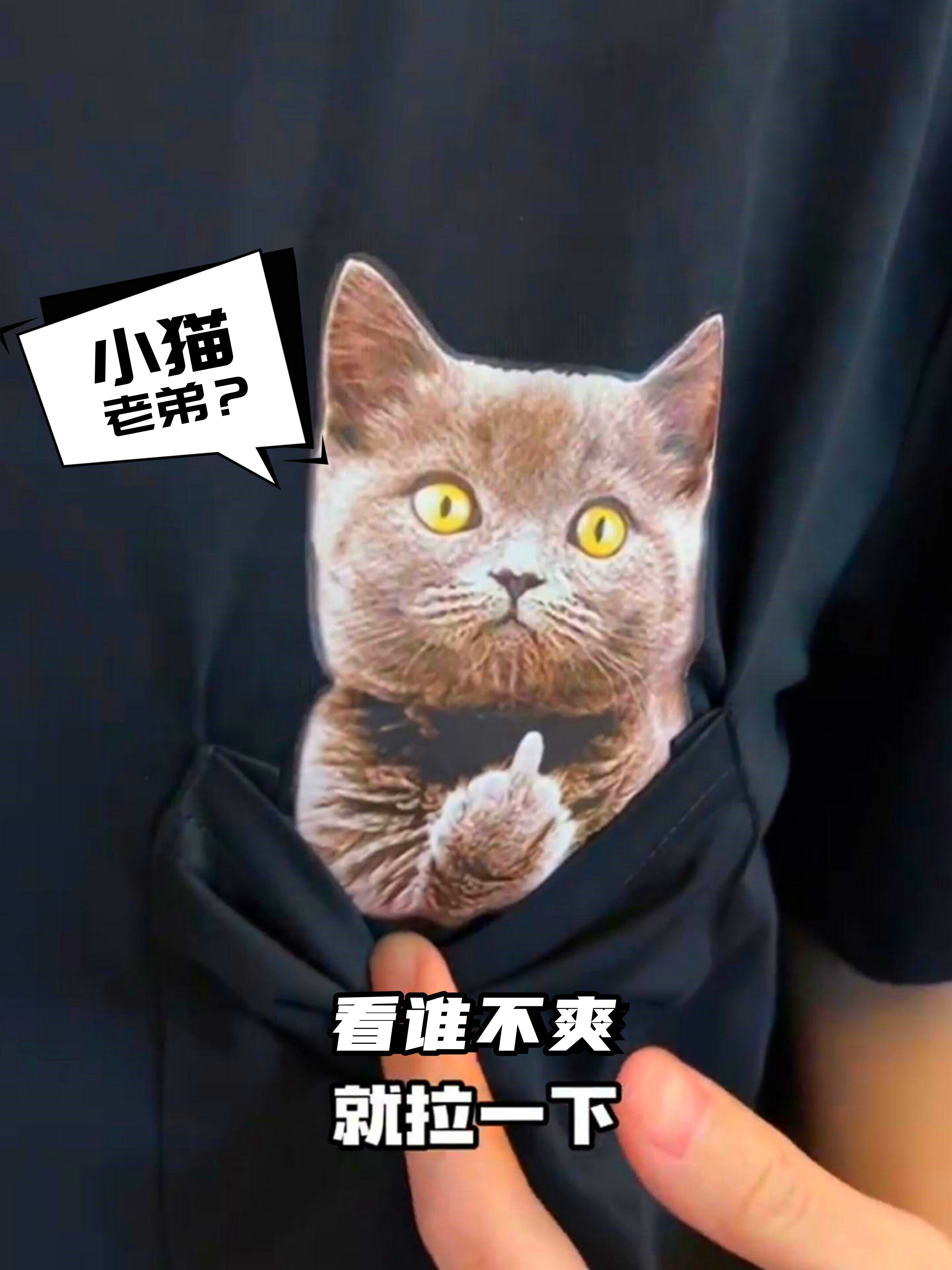 小猫竖中指t恤短袖女纯棉宽松男士欧货打底美式复古纯色黑色圆领
