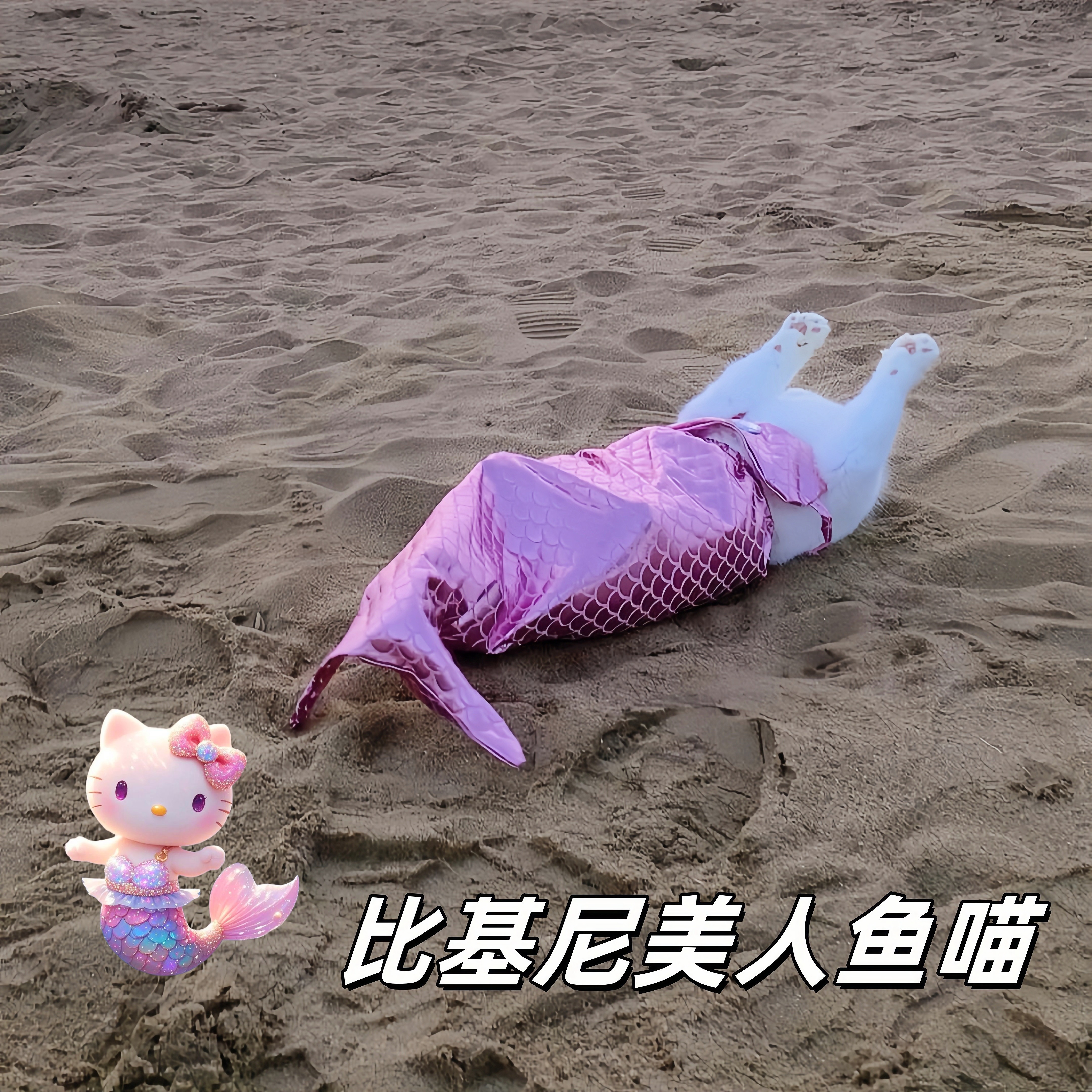 美人鱼猫咪比基尼夏季沙滩宠物狗狗小猫泳装创意搞怪连体拍照服装