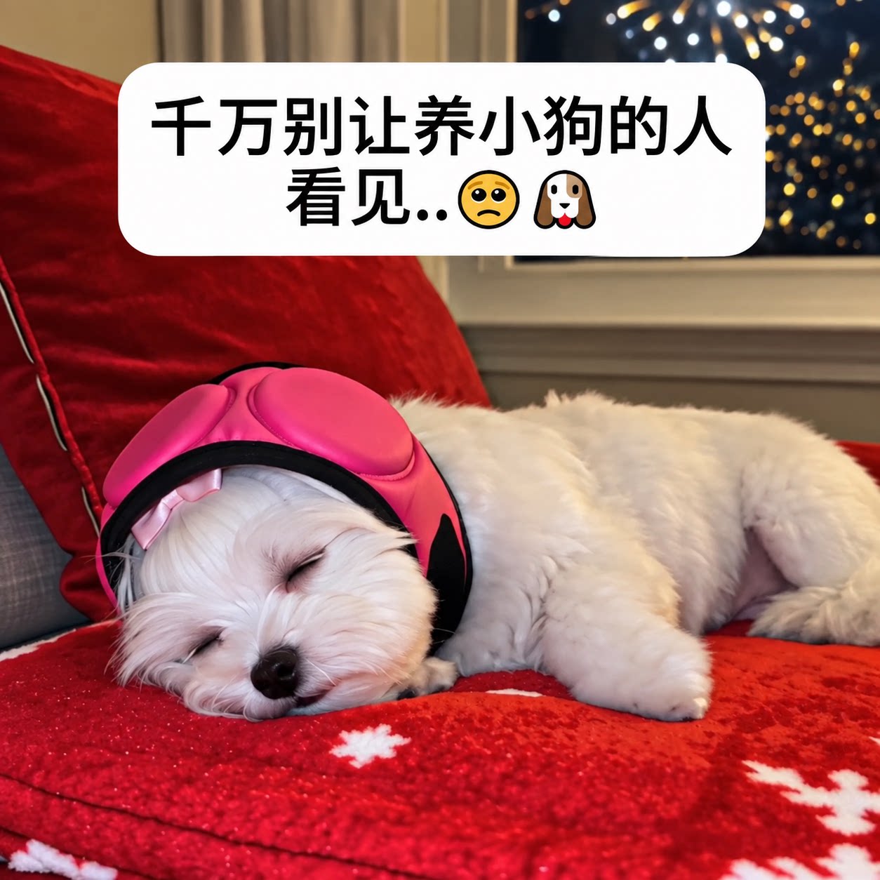 狗狗安抚护耳帽保暖防水减噪图片