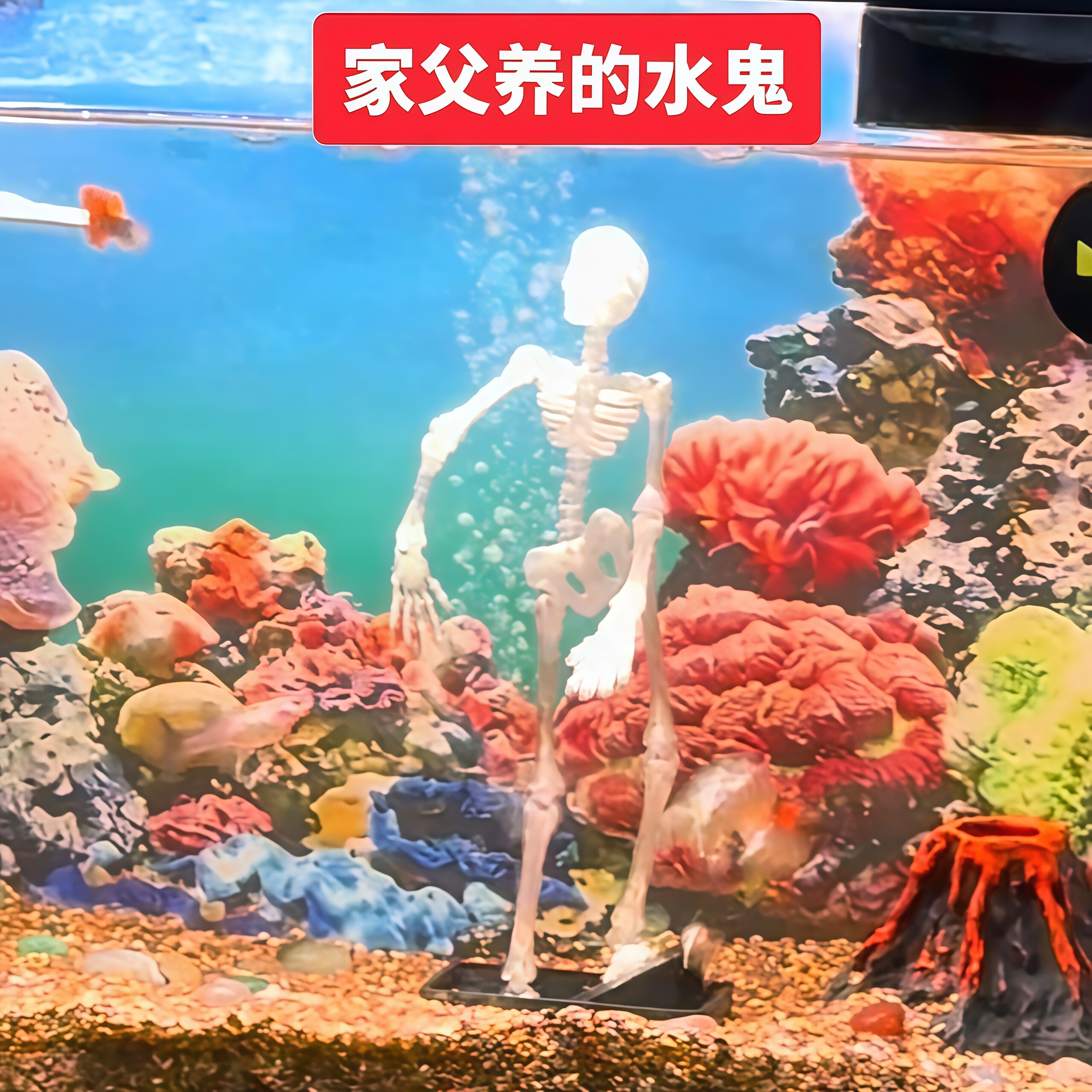 会跳舞的骷髅人鱼缸打氧神器夜光跳舞骷髅水族箱造景装饰品摆件