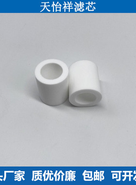 天怡祥VGT-100圆筒滤芯白色滤芯后置过滤器前置过滤器废气分析仪
