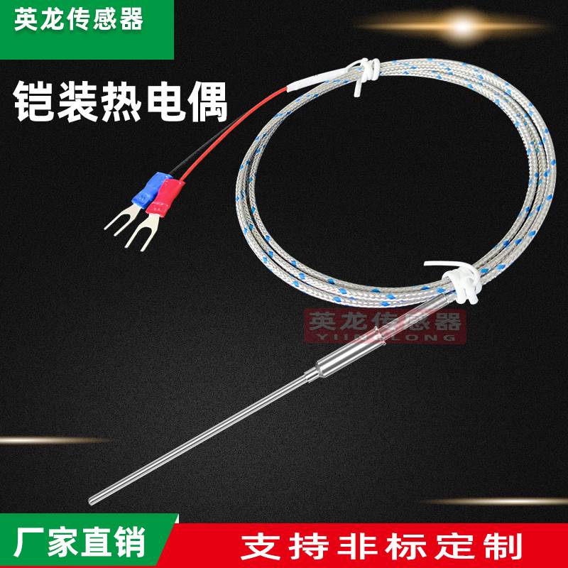 K型铠装热电偶电热偶WRNK-191可弯曲温度传感器探头PT100/E/J/T