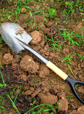 挖土大铲子 户外园艺铁锹 农用工具种菜树锰钢铲雪家用园林养花铁