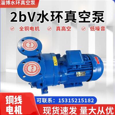 2BV系列水环式真空泵工业用高真空压缩机水循环抽气无油负压泵